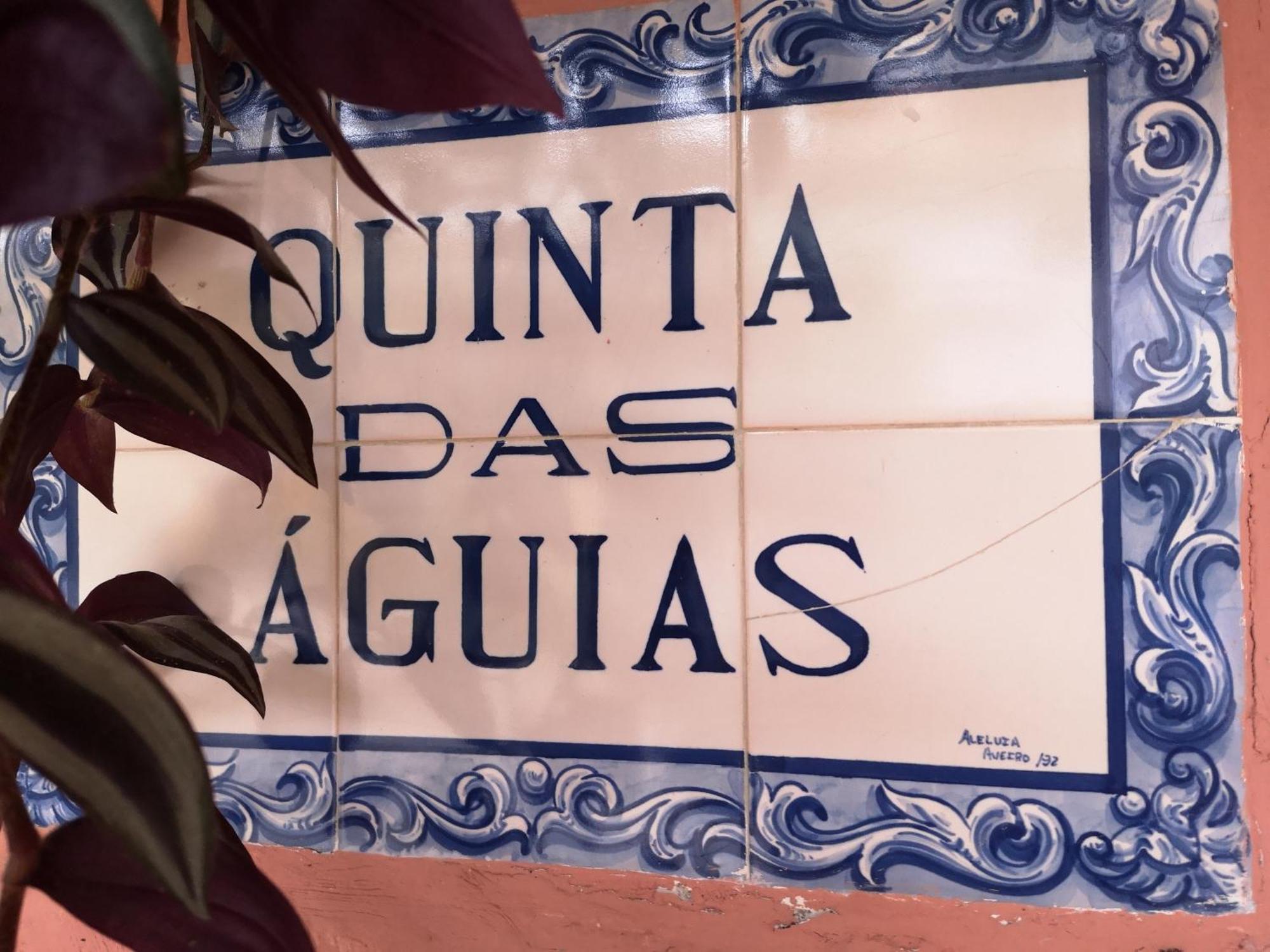 Quinta Das Aguias 阿威罗 外观 照片